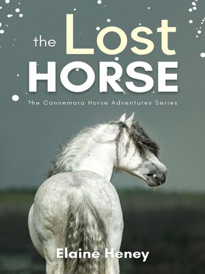 cover image of The Lost Horse--Book 6 in the Connemara Horse Adventure Series for Kids